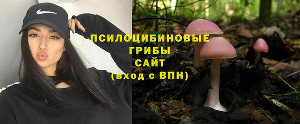 mdpv Гусев