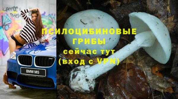 mdpv Гусев