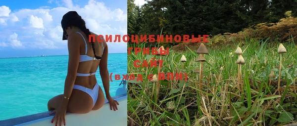 MESCALINE Гусиноозёрск