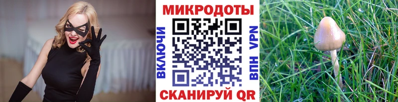 Псилоцибиновые грибы Cubensis Купить где Очёр